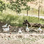 Goccia Di Luna Agroturismo