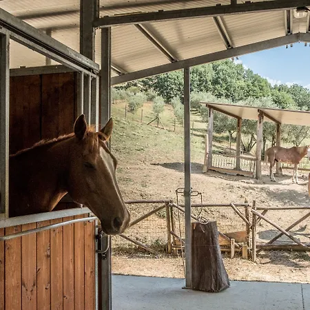 Goccia Di Luna 艾姆波蒂德