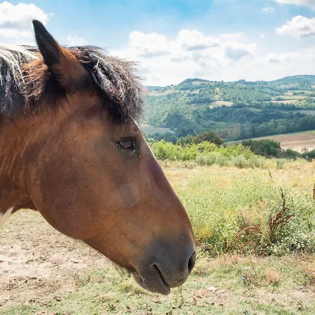 Goccia Di Luna 农家乐 *