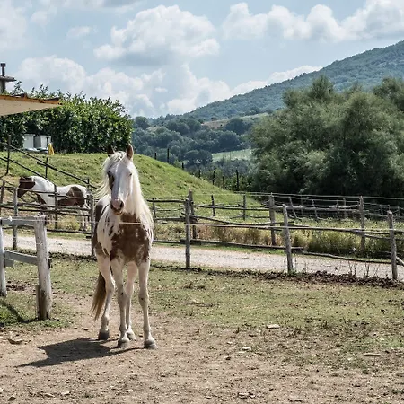 农家乐 Goccia Di Luna 艾姆波蒂德