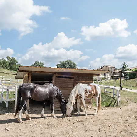 农家乐 Goccia Di Luna