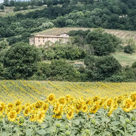 Goccia Di Luna * 艾姆波蒂德