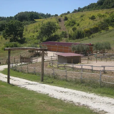 Goccia Di Luna 艾姆波蒂德