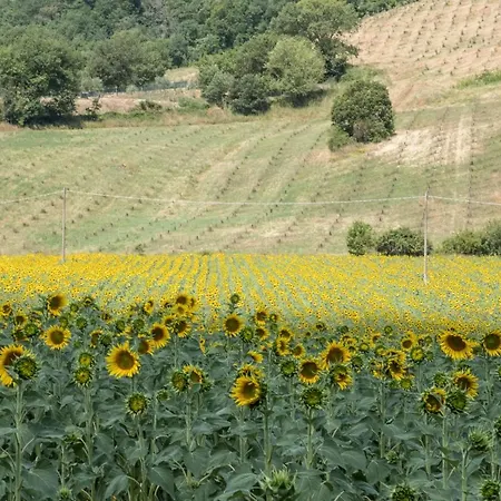 Goccia Di Luna Alloggio per agriturismo