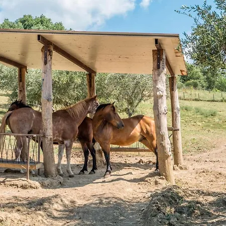 Alloggio per agriturismo Goccia Di Luna *