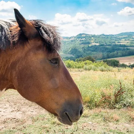 Alloggio per agriturismo Goccia Di Luna *